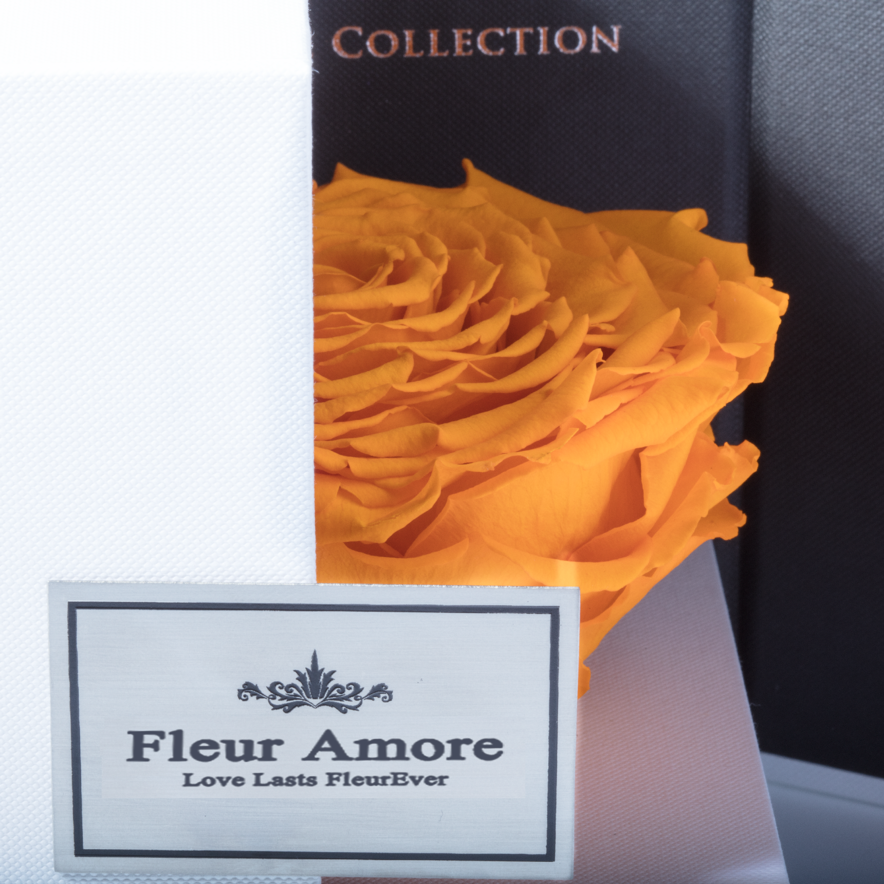 Yellow Mega Preserved Rose | Swing Opening Box